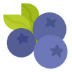 Russian Blueberry